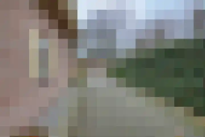 Jachtlaan 137 Apeldoorn thumbnail 32
