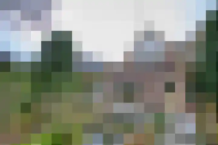 Jachtlaan 137 Apeldoorn thumbnail 33