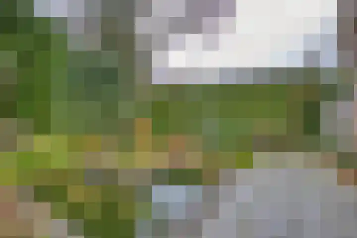 Jachtlaan 137 Apeldoorn thumbnail 34