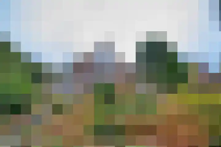 Jachtlaan 137 Apeldoorn thumbnail 35
