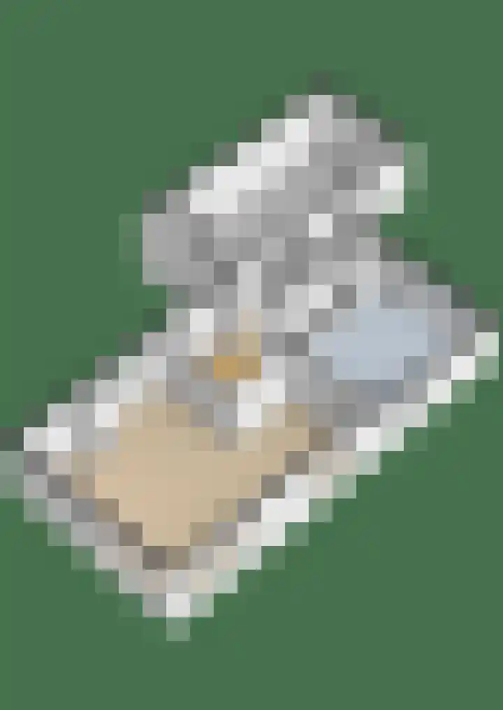 Jachtlaan 137 Apeldoorn thumbnail 39