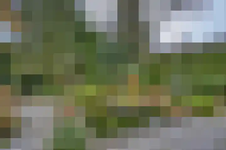 Jachtlaan 137 Apeldoorn thumbnail 4