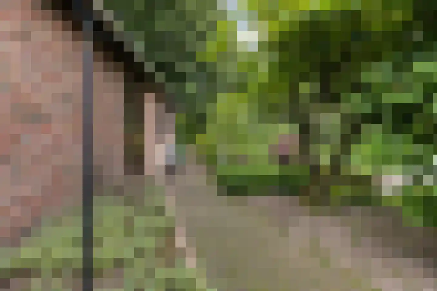Jachtlaan 149 Apeldoorn thumbnail 27