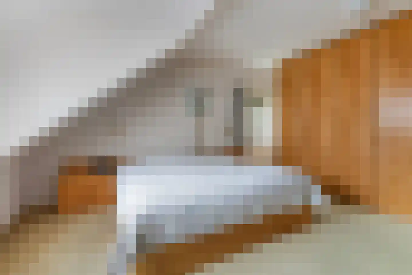 Jachtlaan 149 Apeldoorn thumbnail 37