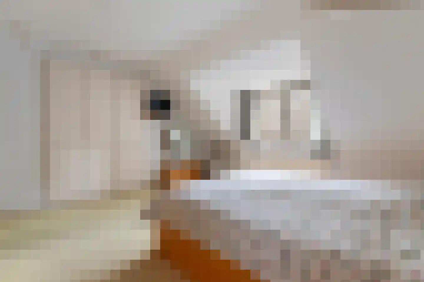 Jachtlaan 149 Apeldoorn thumbnail 39
