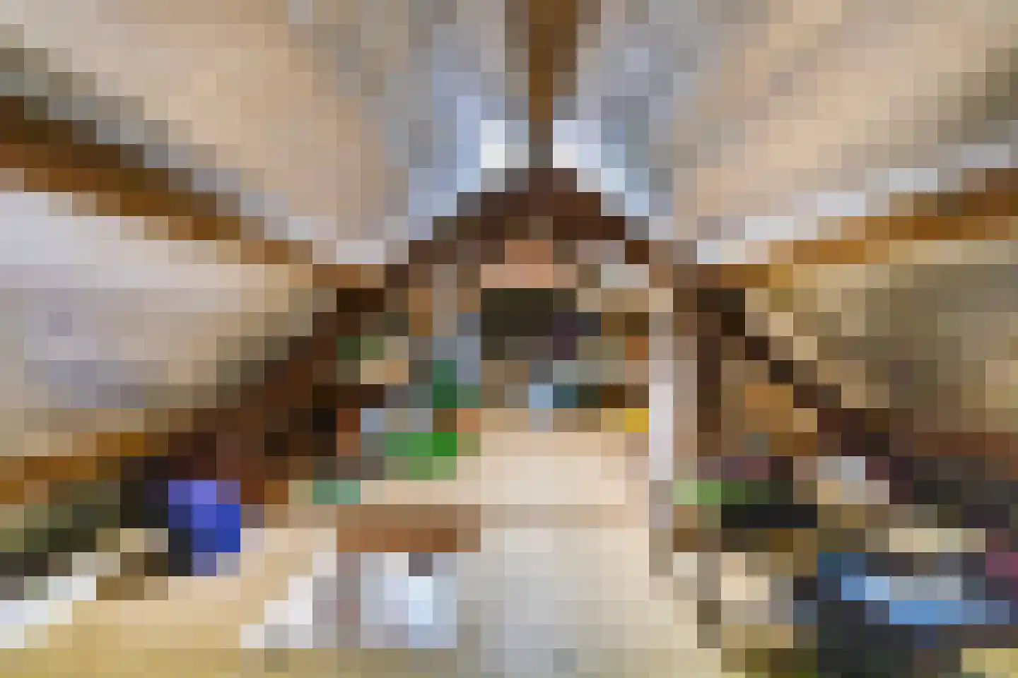 Jachtlaan 149 Apeldoorn thumbnail 43