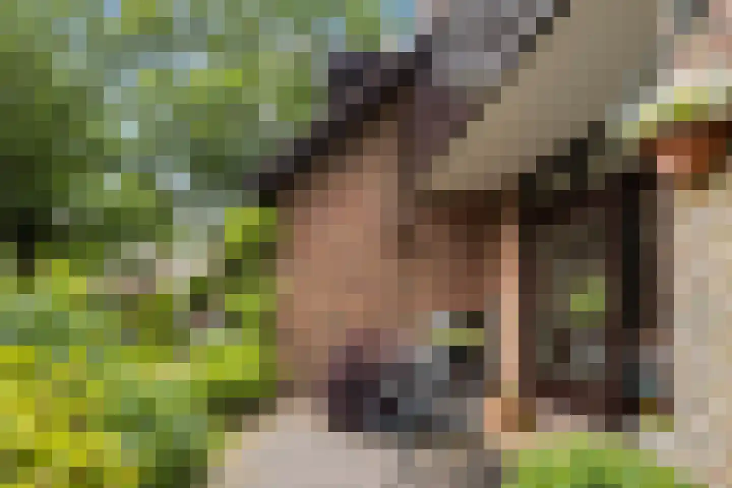 Jachtlaan 149 Apeldoorn thumbnail 45
