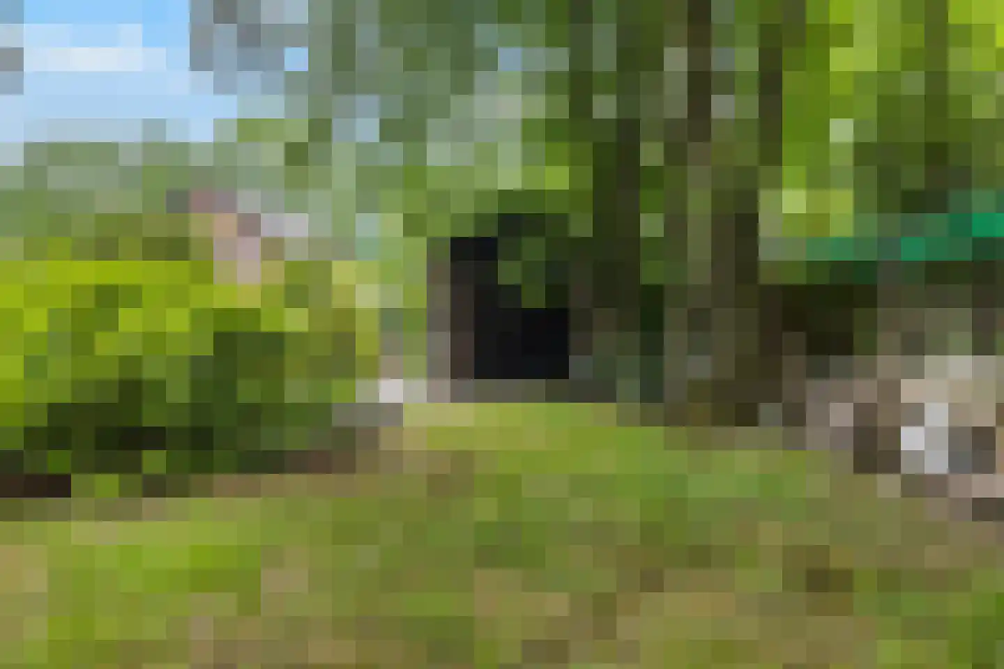 Jachtlaan 149 Apeldoorn thumbnail 46