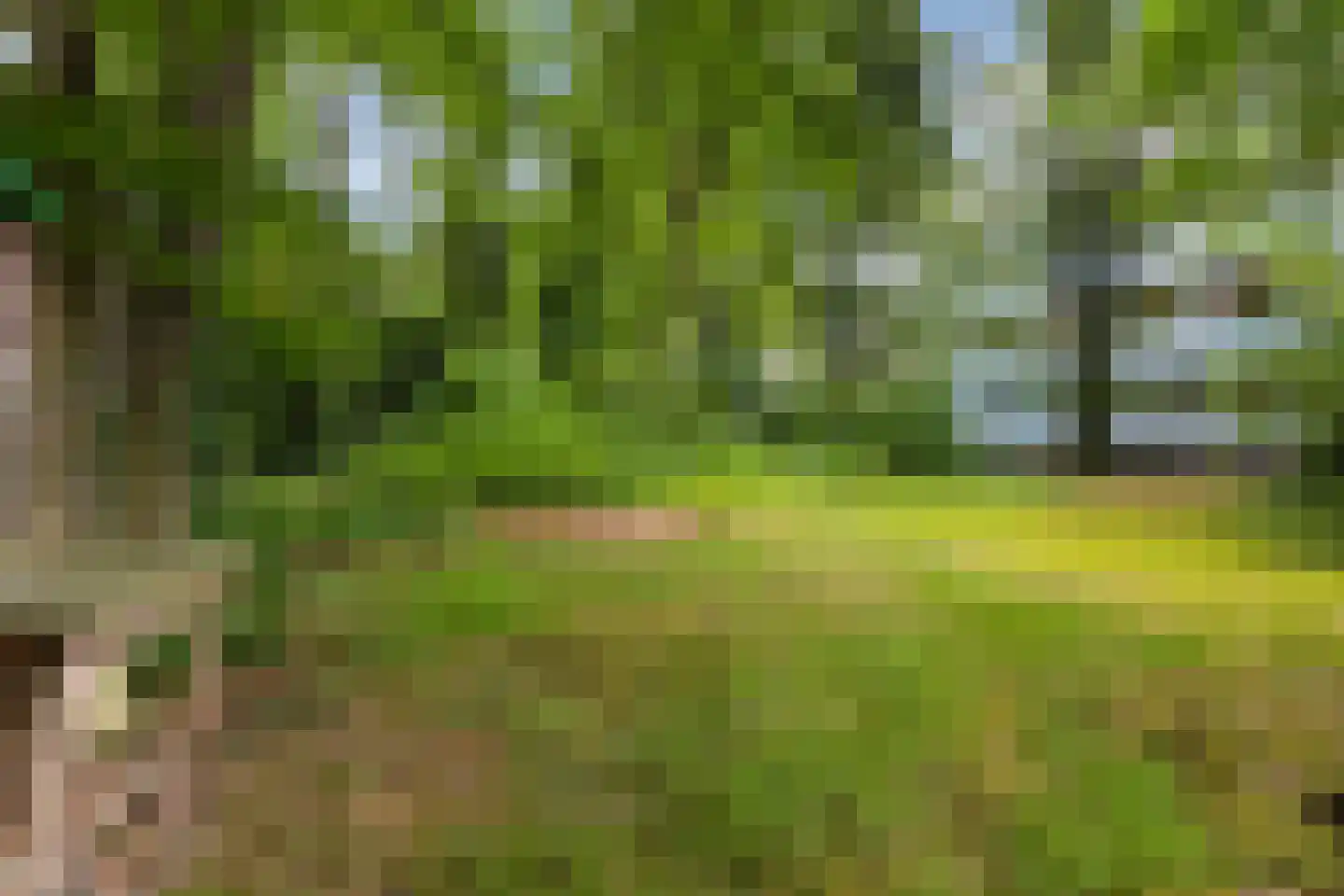 Jachtlaan 149 Apeldoorn thumbnail 47