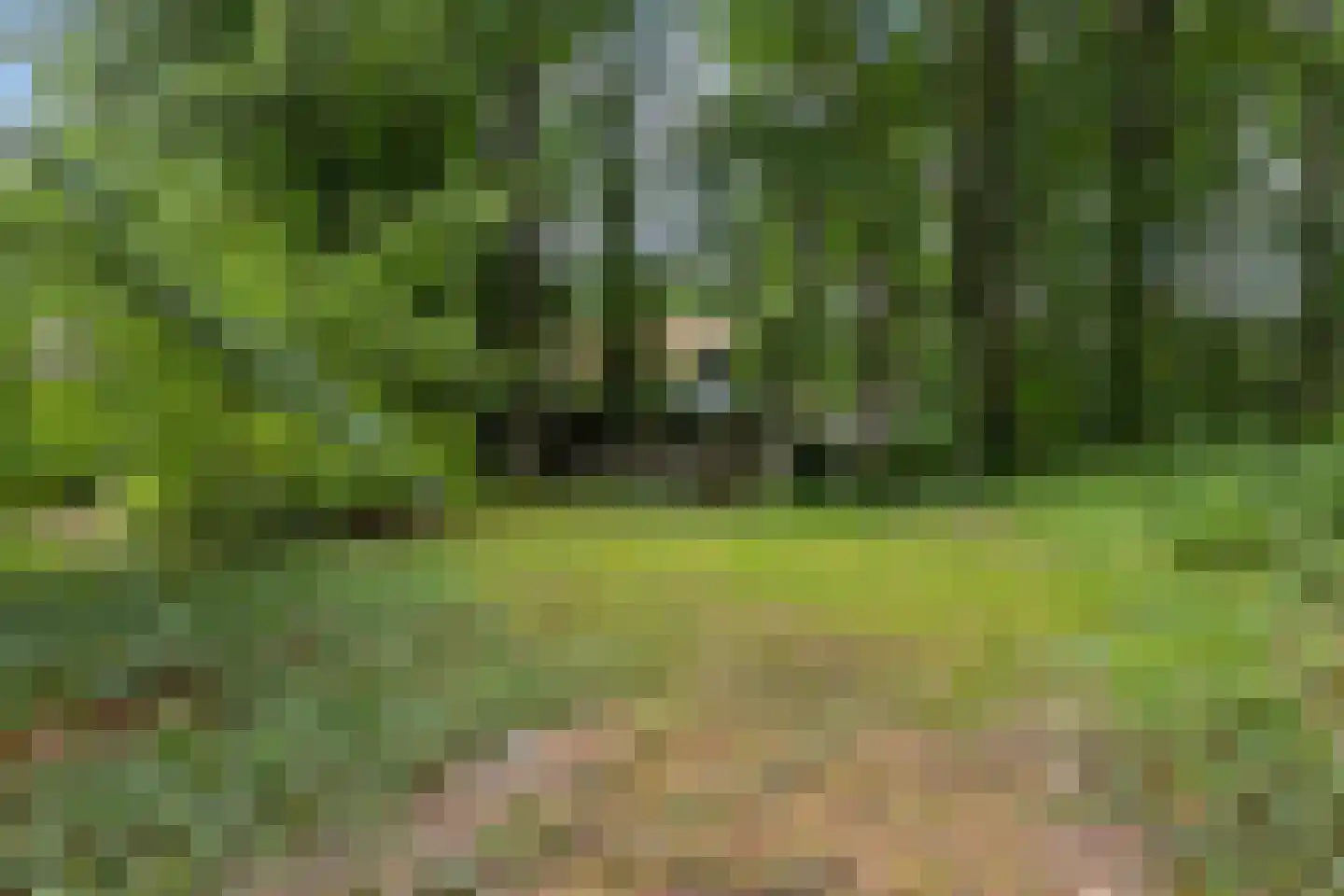 Jachtlaan 149 Apeldoorn thumbnail 48