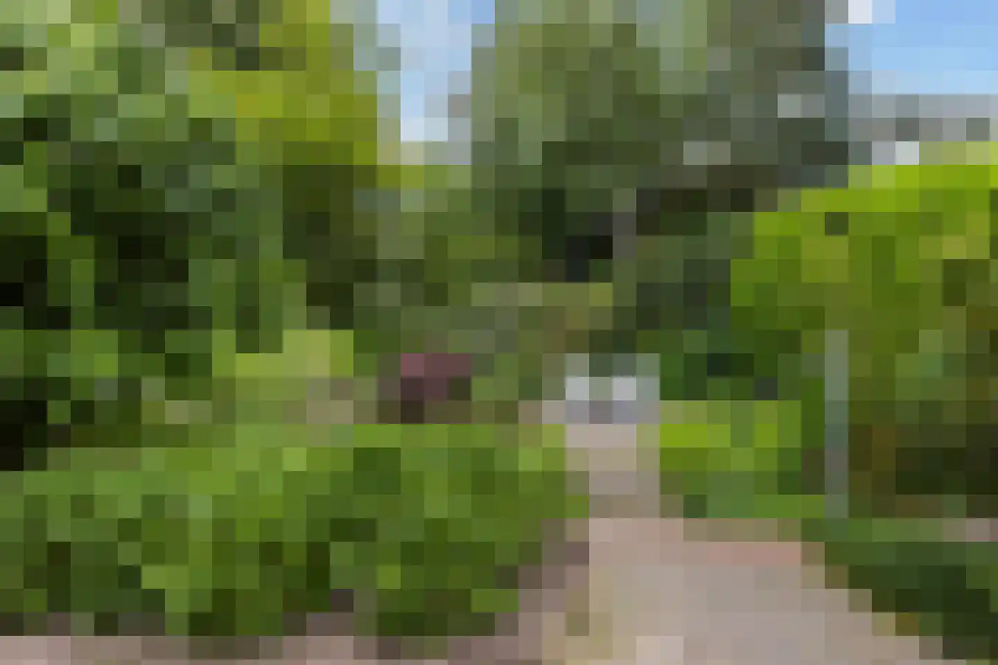 Jachtlaan 149 Apeldoorn thumbnail 49