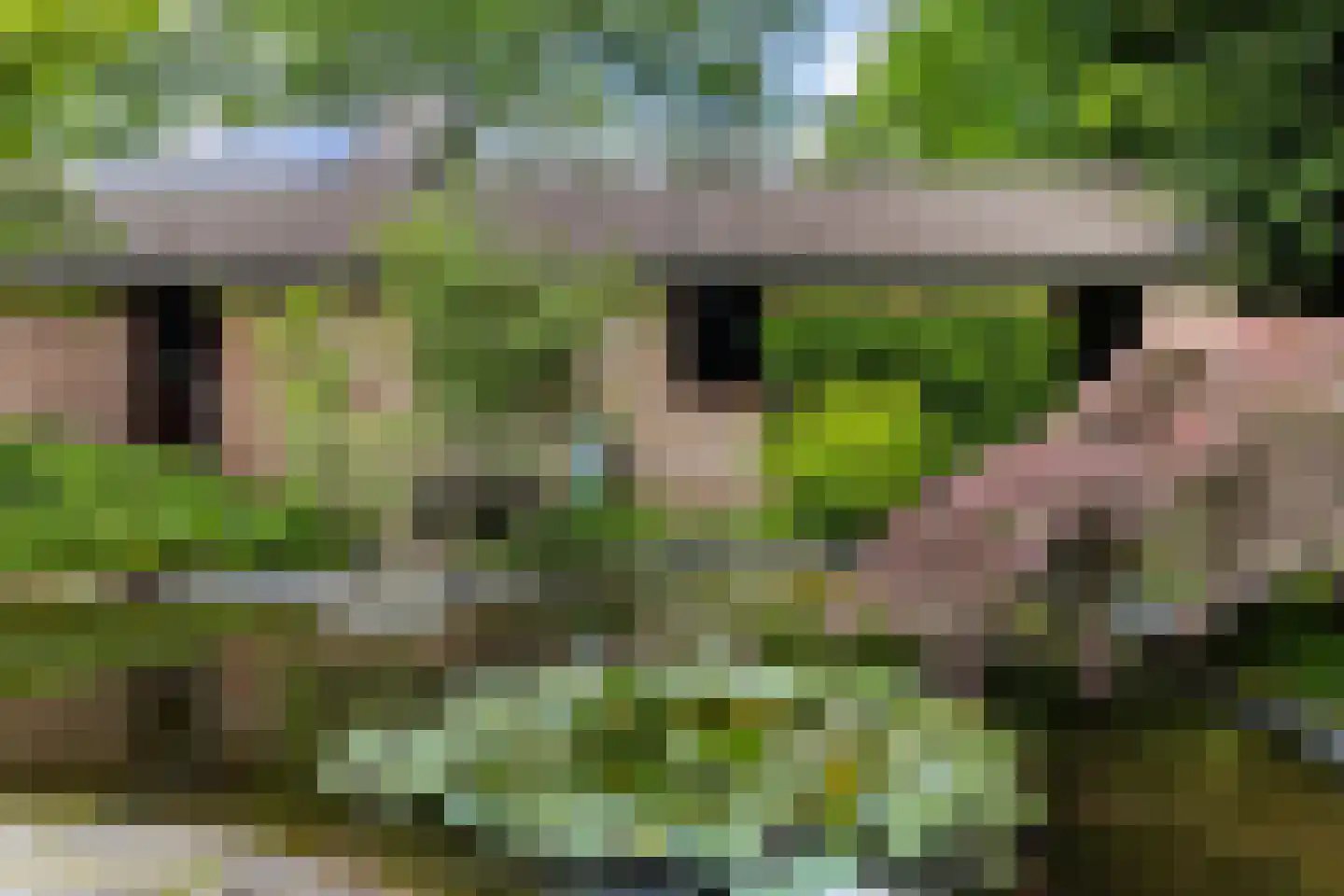 Jachtlaan 149 Apeldoorn thumbnail 5