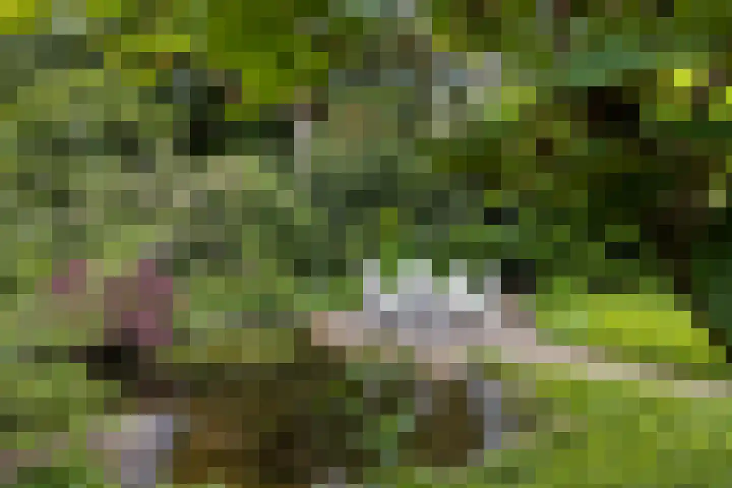 Jachtlaan 149 Apeldoorn thumbnail 6