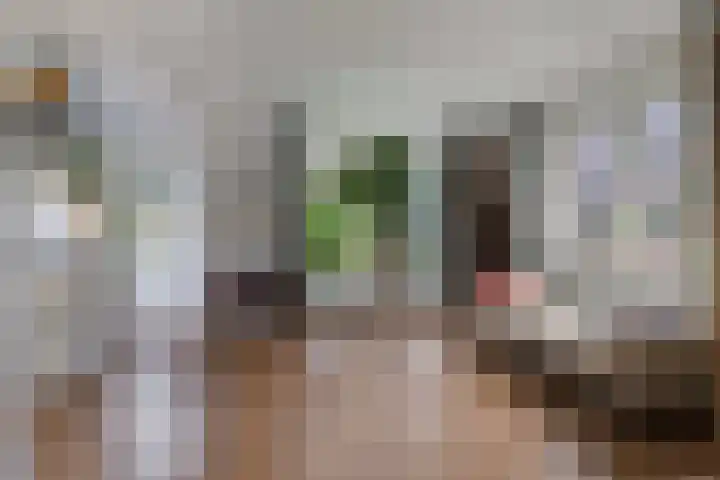 Jachtlaan 151 Apeldoorn thumbnail 14