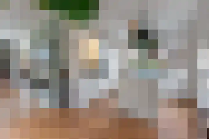 Jachtlaan 151 Apeldoorn thumbnail 19