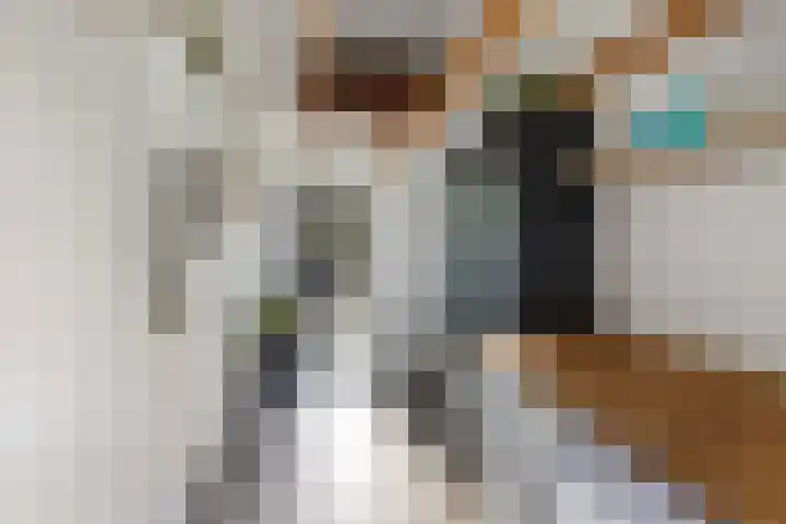 Jachtlaan 151 Apeldoorn thumbnail 22