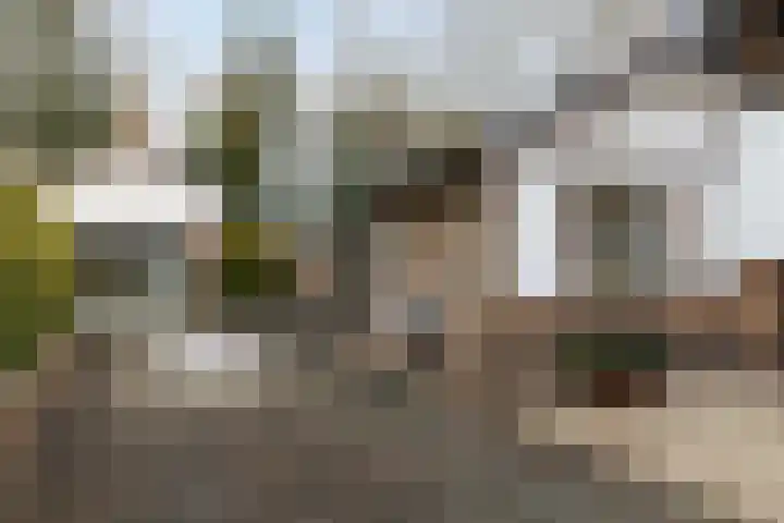 Jachtlaan 151 Apeldoorn thumbnail 23