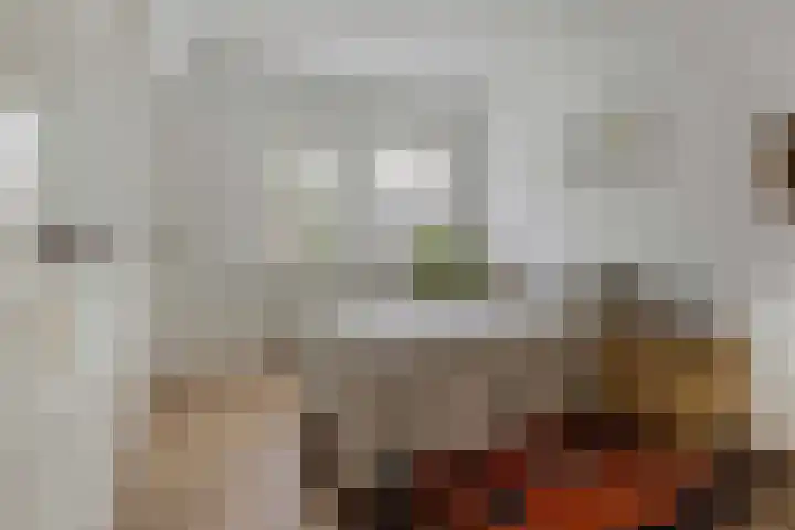Jachtlaan 151 Apeldoorn thumbnail 33