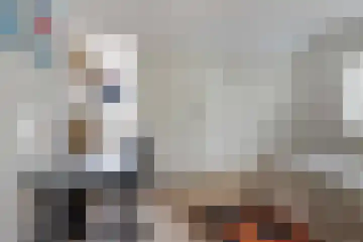 Jachtlaan 151 Apeldoorn thumbnail 34