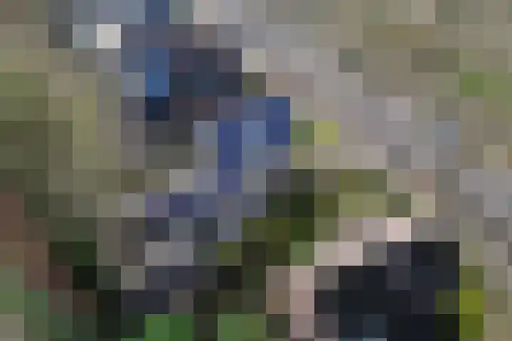Jachtlaan 151 Apeldoorn thumbnail 4