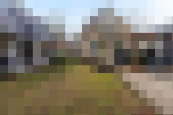 Jachtlaan 151 Apeldoorn thumbnail 43