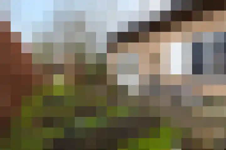 Jachtlaan 151 Apeldoorn thumbnail 48