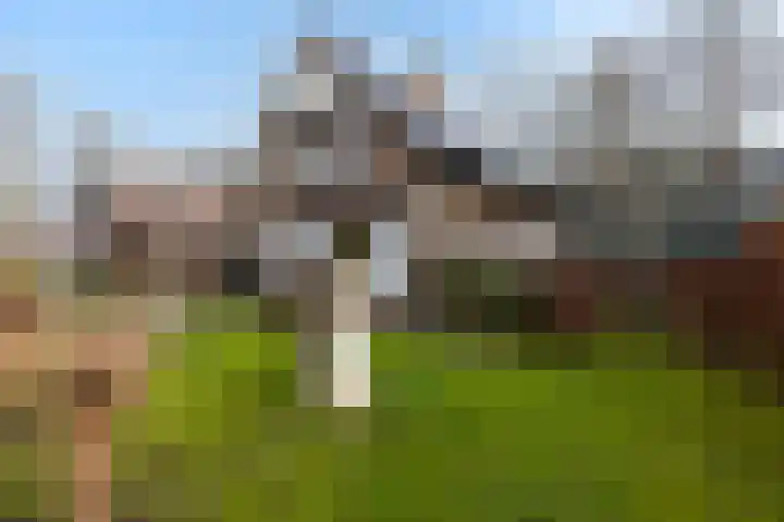 Jachtlaan 151 Apeldoorn thumbnail 49