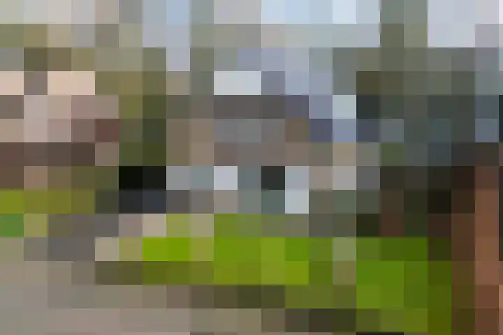 Jachtlaan 151 Apeldoorn thumbnail 51