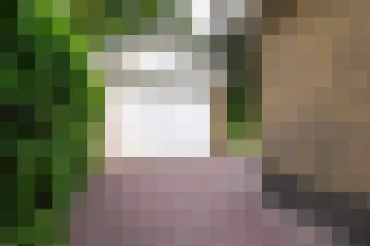 Jachtlaan 161 Apeldoorn thumbnail 10