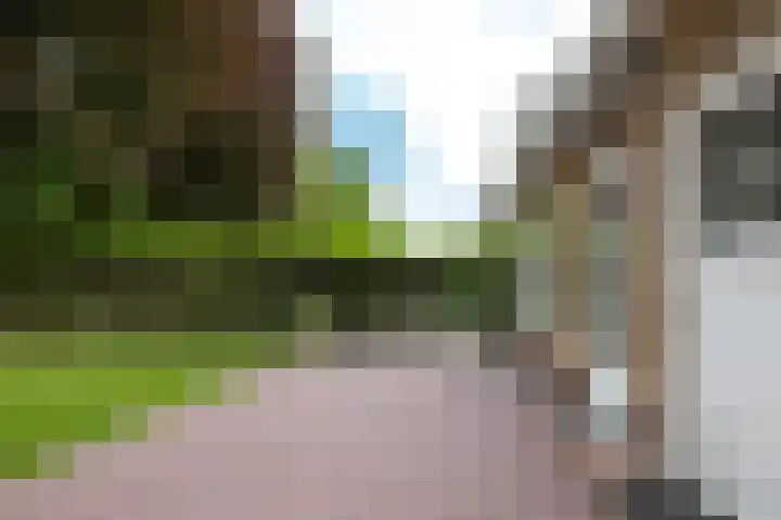 Jachtlaan 161 Apeldoorn thumbnail 23