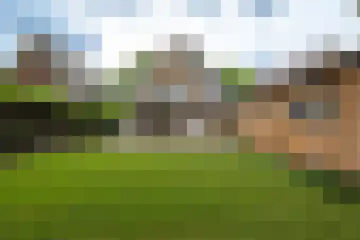 Jachtlaan 161 Apeldoorn thumbnail 26