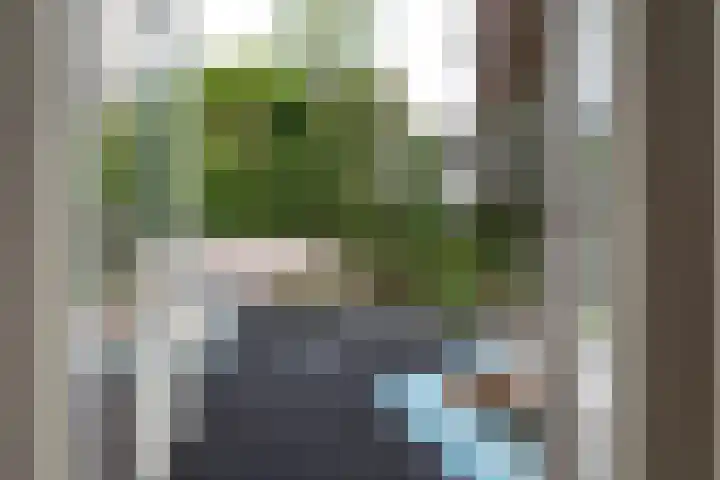 Jachtlaan 161 Apeldoorn thumbnail 38