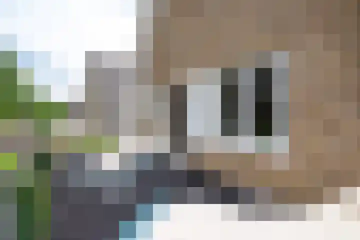 Jachtlaan 161 Apeldoorn thumbnail 39
