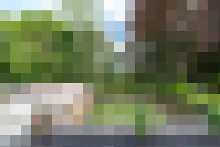 Jachtlaan 161 Apeldoorn thumbnail 40
