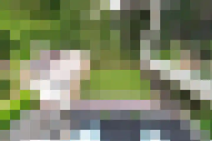 Jachtlaan 161 Apeldoorn thumbnail 47