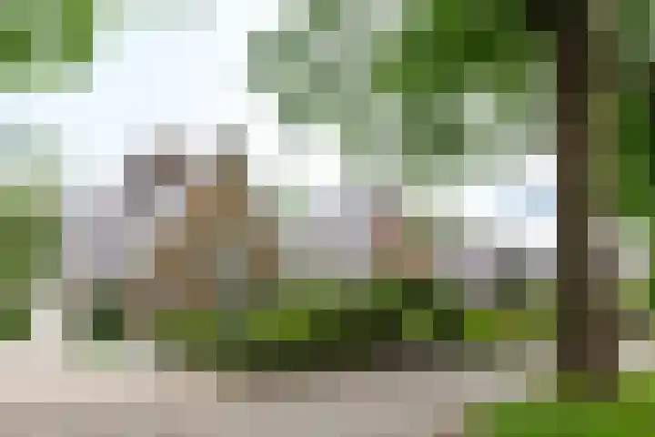 Jachtlaan 161 Apeldoorn thumbnail 6