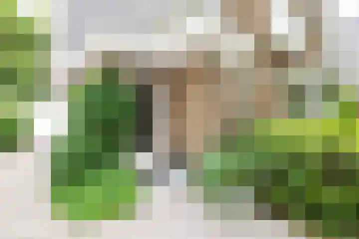 Jachtlaan 161 Apeldoorn thumbnail 7