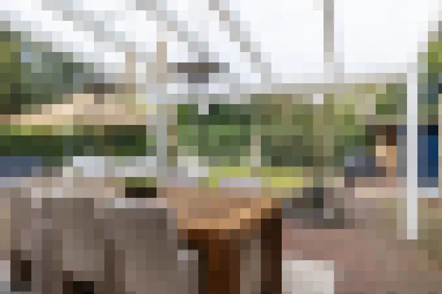 Jachtlaan 164 Apeldoorn thumbnail 31