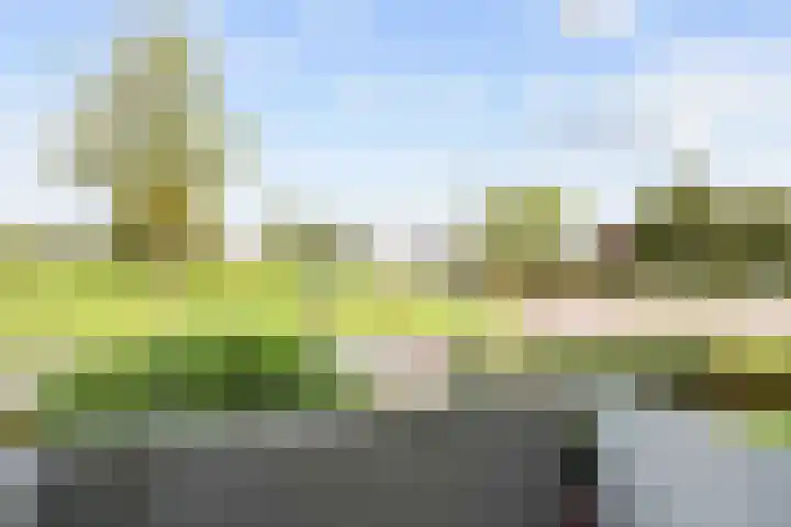 Jachtlaan 18 Delfzijl thumbnail 16