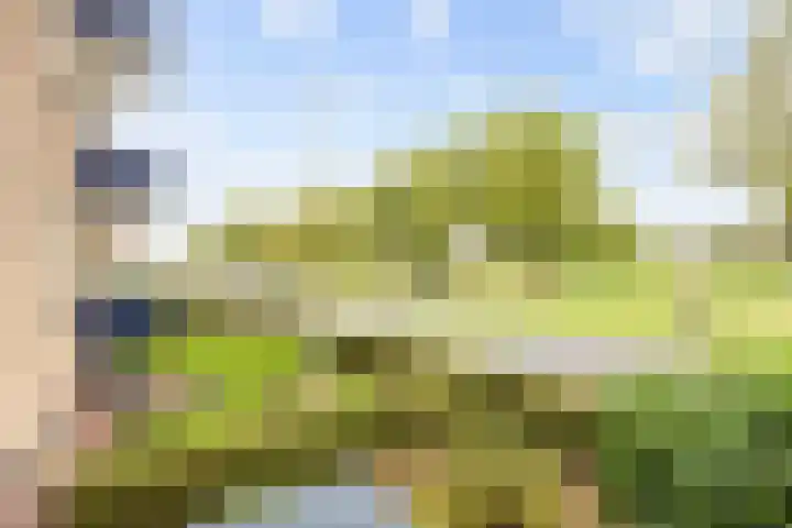 Jachtlaan 18 Delfzijl thumbnail 17