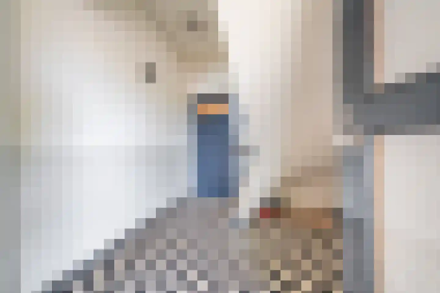 Jachtlaan 2 A Delfzijl thumbnail 14