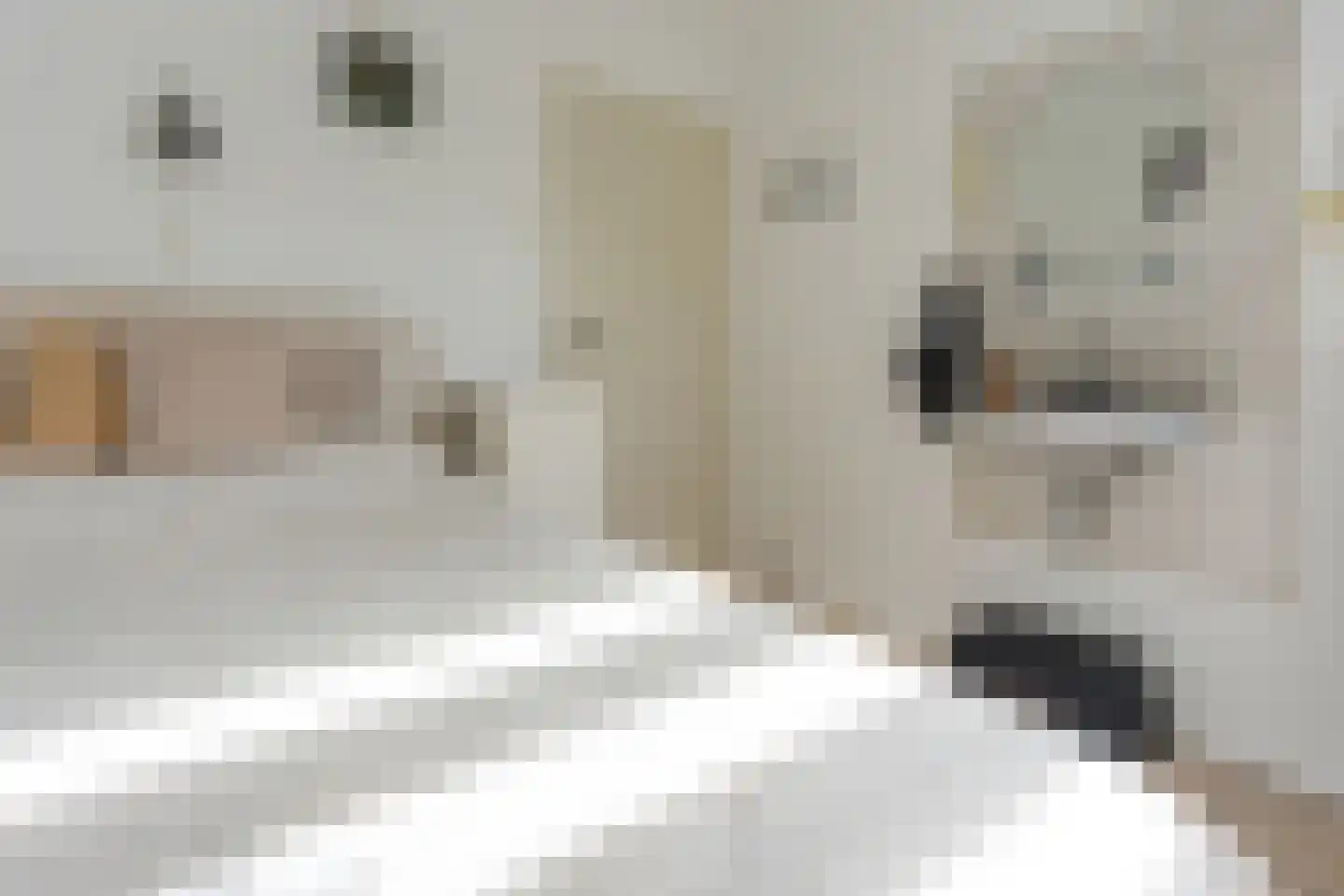 Jachtlaan 2 Scharendijke thumbnail 14