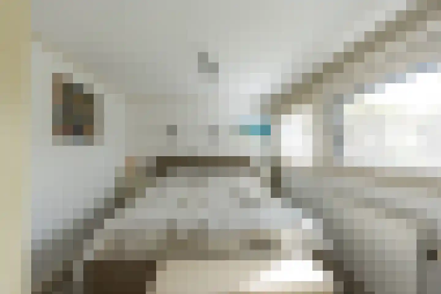 Jachtlaan 2 Scharendijke thumbnail 23