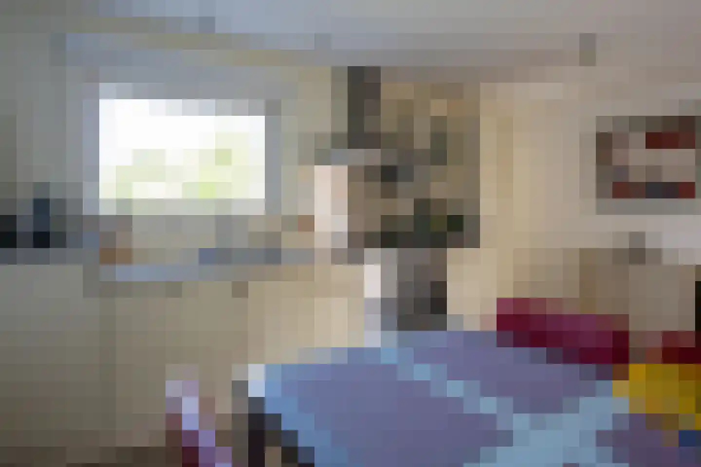 Jachtlaan 2 Scharendijke thumbnail 29