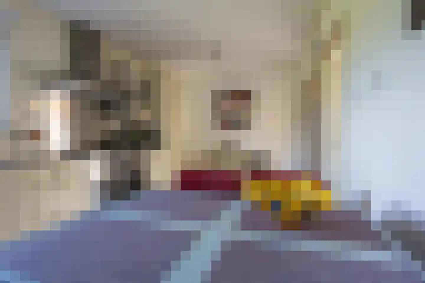 Jachtlaan 2 Scharendijke thumbnail 30