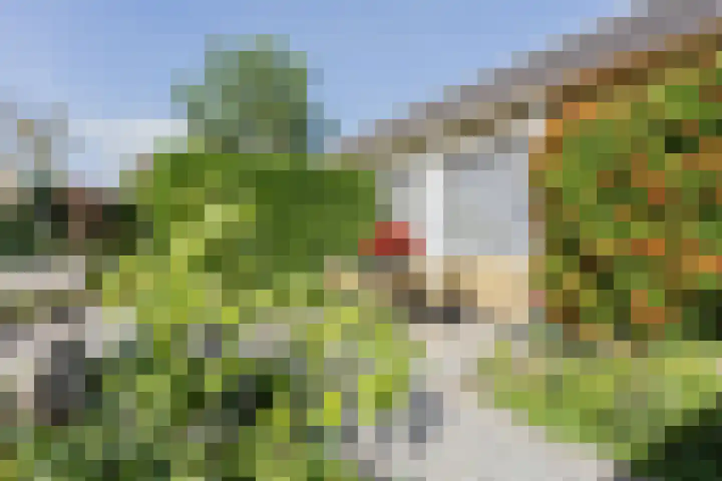 Jachtlaan 2 Scharendijke thumbnail 41