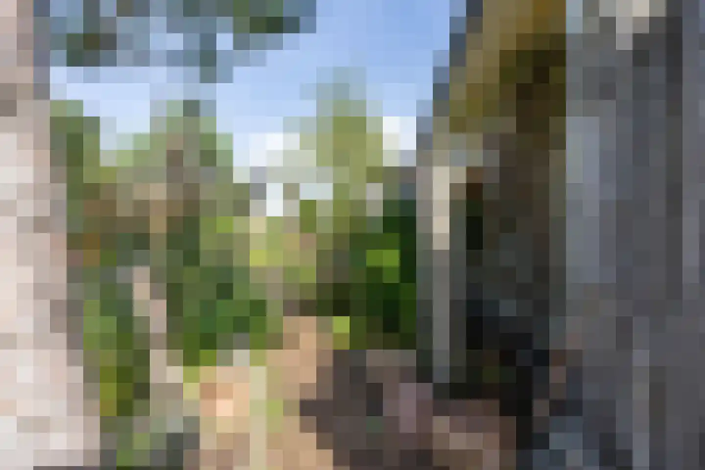Jachtlaan 2 Scharendijke thumbnail 45