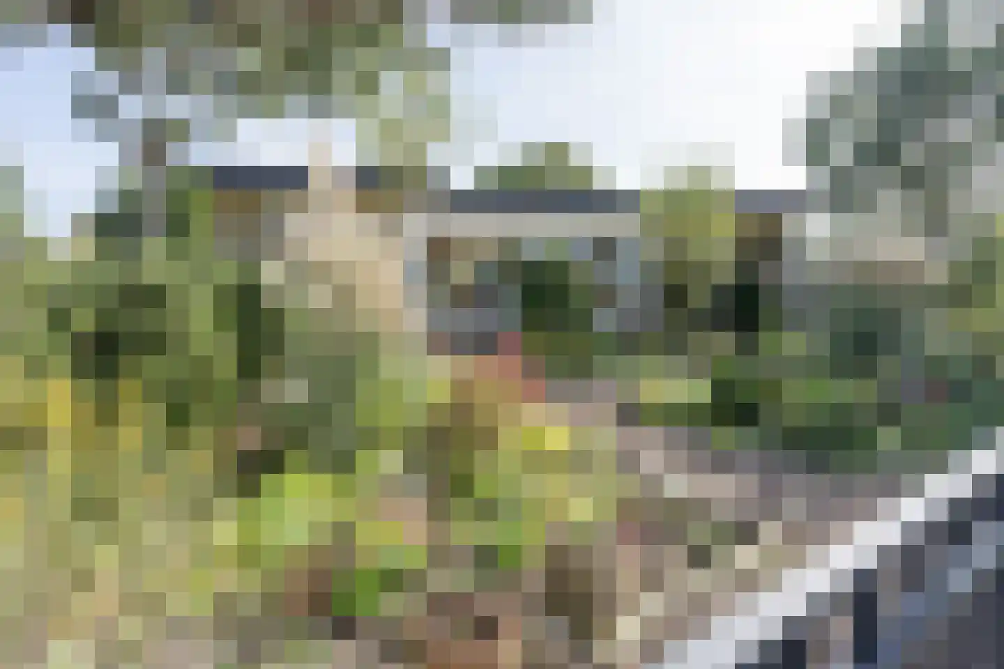 Jachtlaan 2 Scharendijke thumbnail 47
