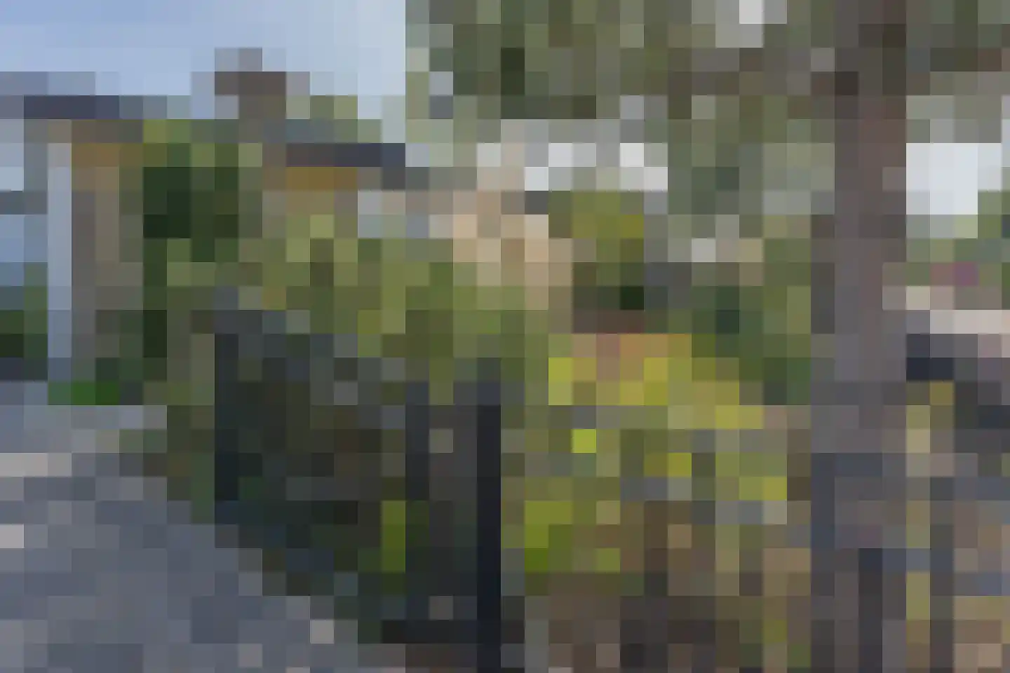 Jachtlaan 2 Scharendijke thumbnail 48