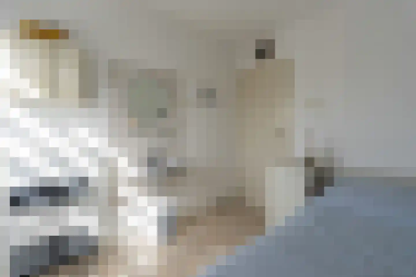 Jachtlaan 2 x Scharendijke thumbnail 21